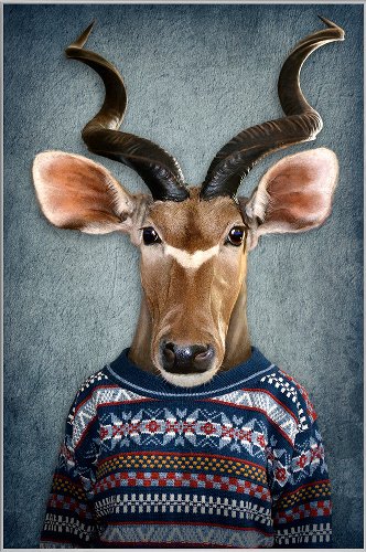 Antelope with pullover 