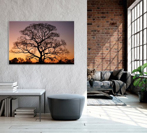 Bild & Rahmen Gigantischer Baum im Sonnenuntergang