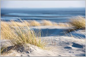 Time Out on the Beach 