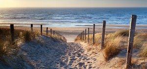 Sand path to the sea 