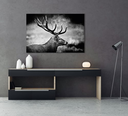 Cerf en noir et blanc 