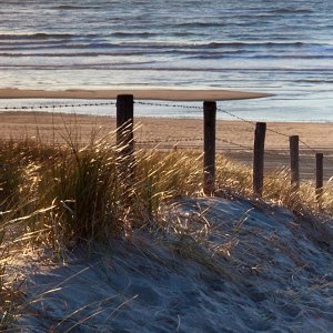 Sand path to the sea 