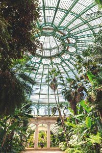 Royal greenhouse 