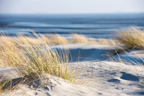 Canvas Print Time Out on the Beach