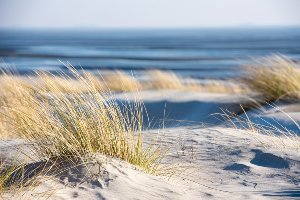 Time Out on the Beach 