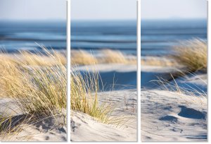 Time Out on the Beach 