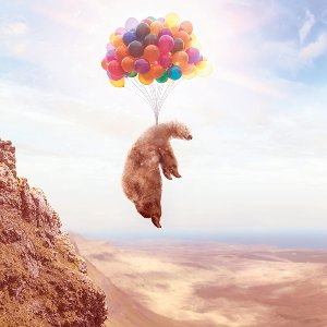 Fliegender Bär an Luftballons 