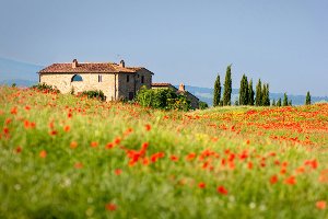 Haus in der Toskana mit Mohnwiese