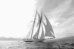 Sailing boat in black and white