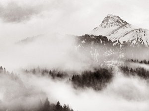 Summit in the cloud fog 