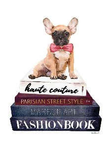 Exklusive Modebücher mit Hund 