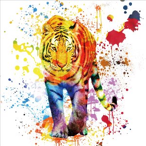 Composition de couleurs tigre sur fond blanc