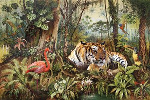 Un flamant rose rencontre un tigre