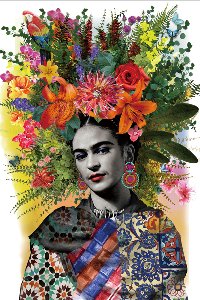 Mexico Flowers 