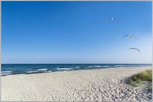 Einsamer Strand 