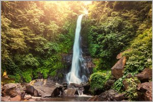Les chutes d'eau 