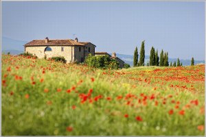 Tuscan house with poppy meadow 