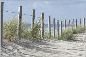 Clôture dans les dunes 
