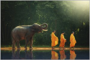 monks hiking with elephant 